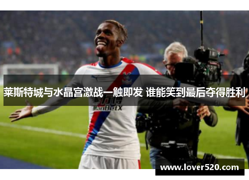 莱斯特城与水晶宫激战一触即发 谁能笑到最后夺得胜利 莱斯特城与水晶宫激战一触即发 谁能笑到最后夺得胜利